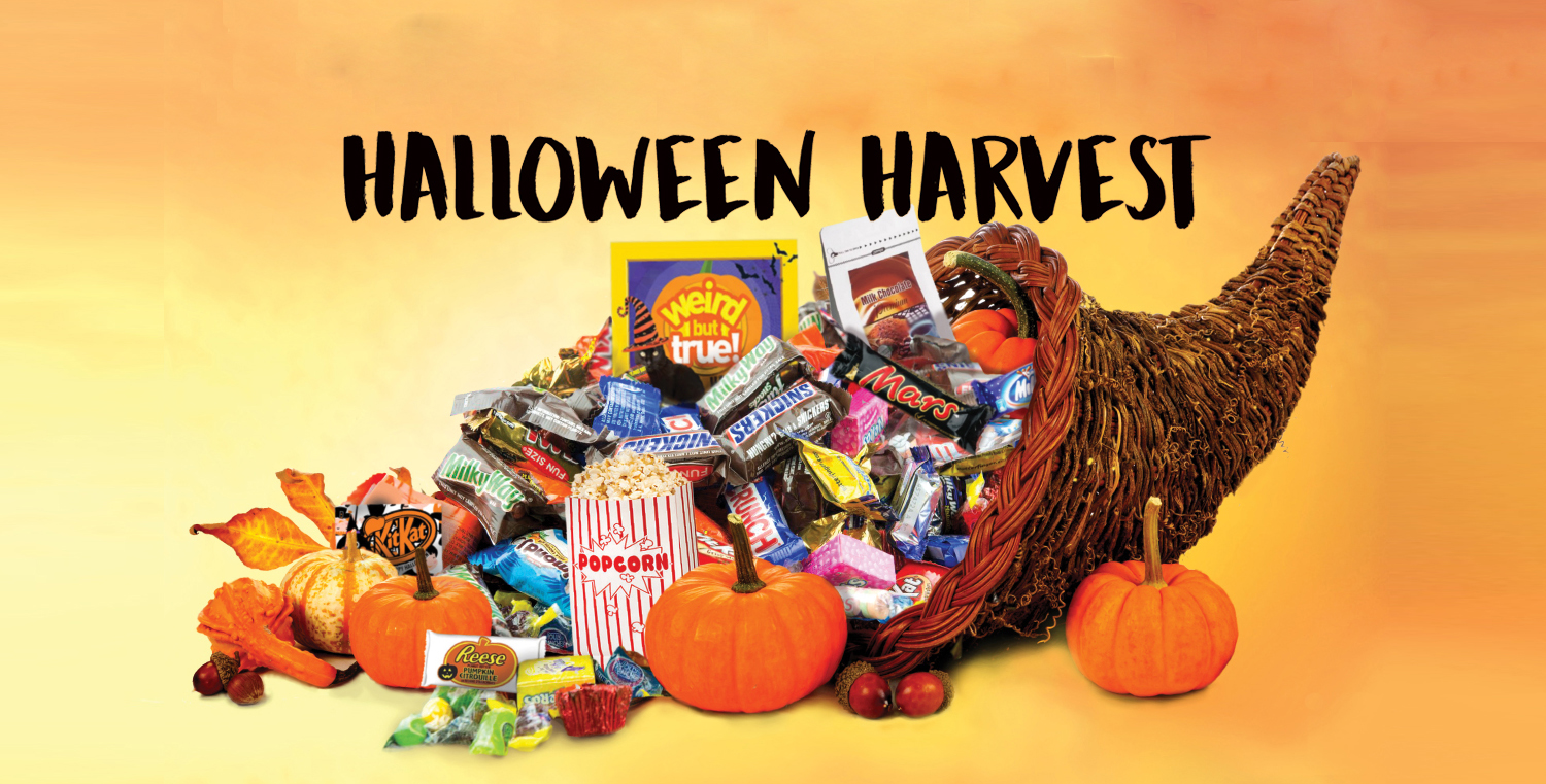 Halloween Harvest Winner