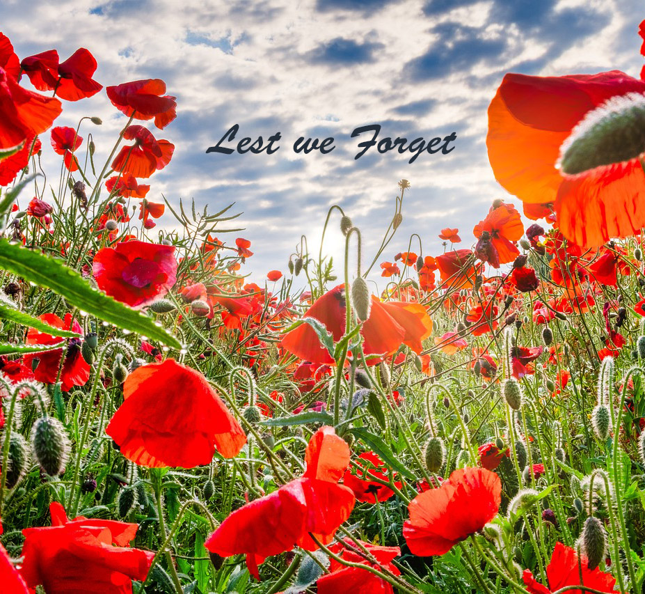 Remembrance Day 2024